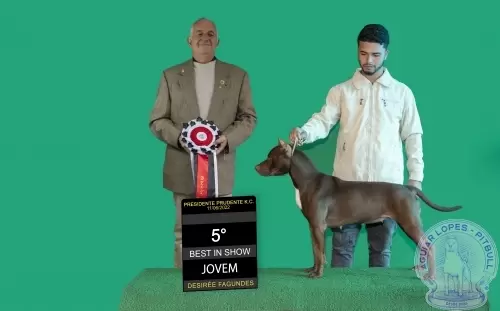  KIWI OF AGUIAR LOPES
5° BIS (Best in Show)