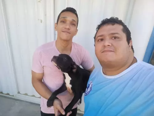   Oliver - (Zoe) - Rio de Janeiro - RJ
GLOCK x AMORA