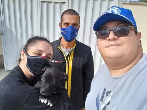    Vanessa e Guilherme - (Nala) - Niteroí - RJ
GLOCK x AMORA