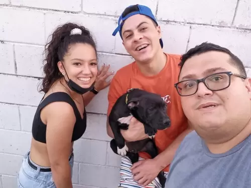   Thaina Luna e Caique Bitencourte - (Zeus) - Osasco - SP
GLOCK x AMORA