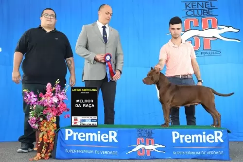 MELHOR DA RAÇA - KCSP