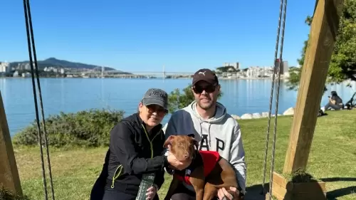   Melissa e Diogo - (Shoga) - São José - SC 2024 SALVATORE x KIWI